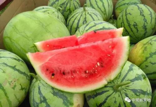 今日吃瓜什么意思,揭秘娱乐圈最新热点事件