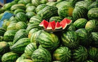 今日宜吃瓜张大贵